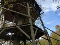 20241021_151040 (1024x768).jpg